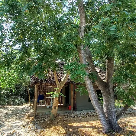 Bamba Kofi Lodge Ватаму Экстерьер фото