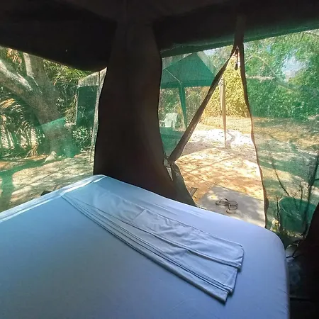 Bamba Kofi Lodge Ватаму Номер фото