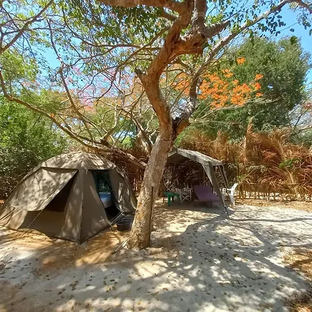 Bamba Kofi Lodge Ватаму Номер фото