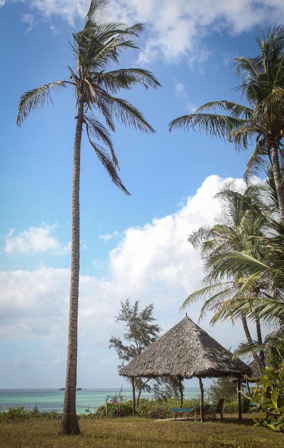 Campsite Bamba Kofi *