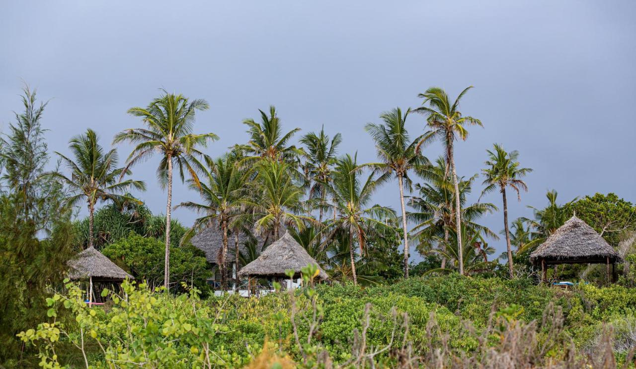 Campsite Bamba Kofi