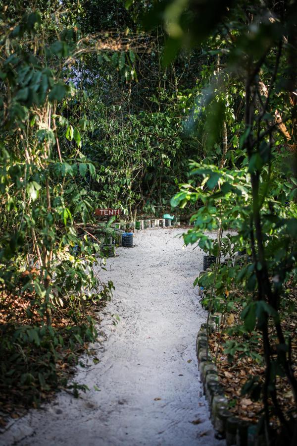 Bamba Kofi Campsite *