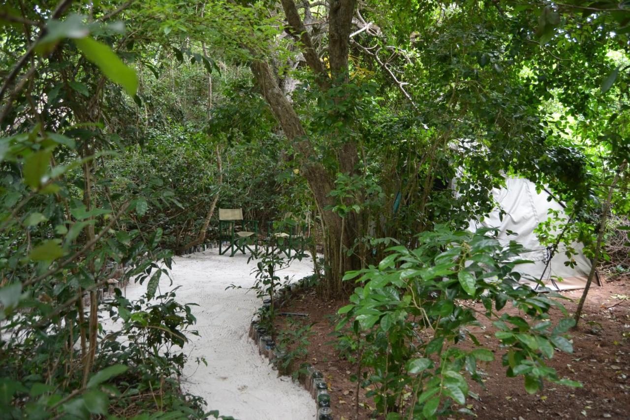 Bamba Kofi Campsite *