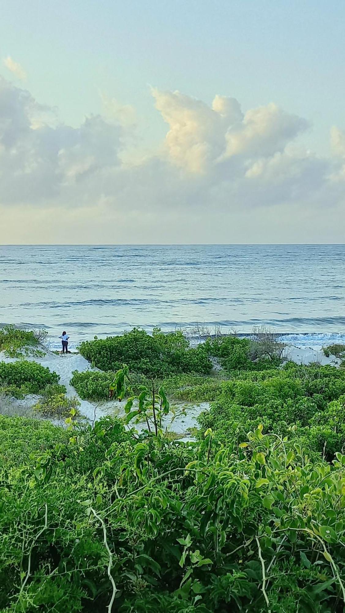 Campsite Bamba Kofi Watamu