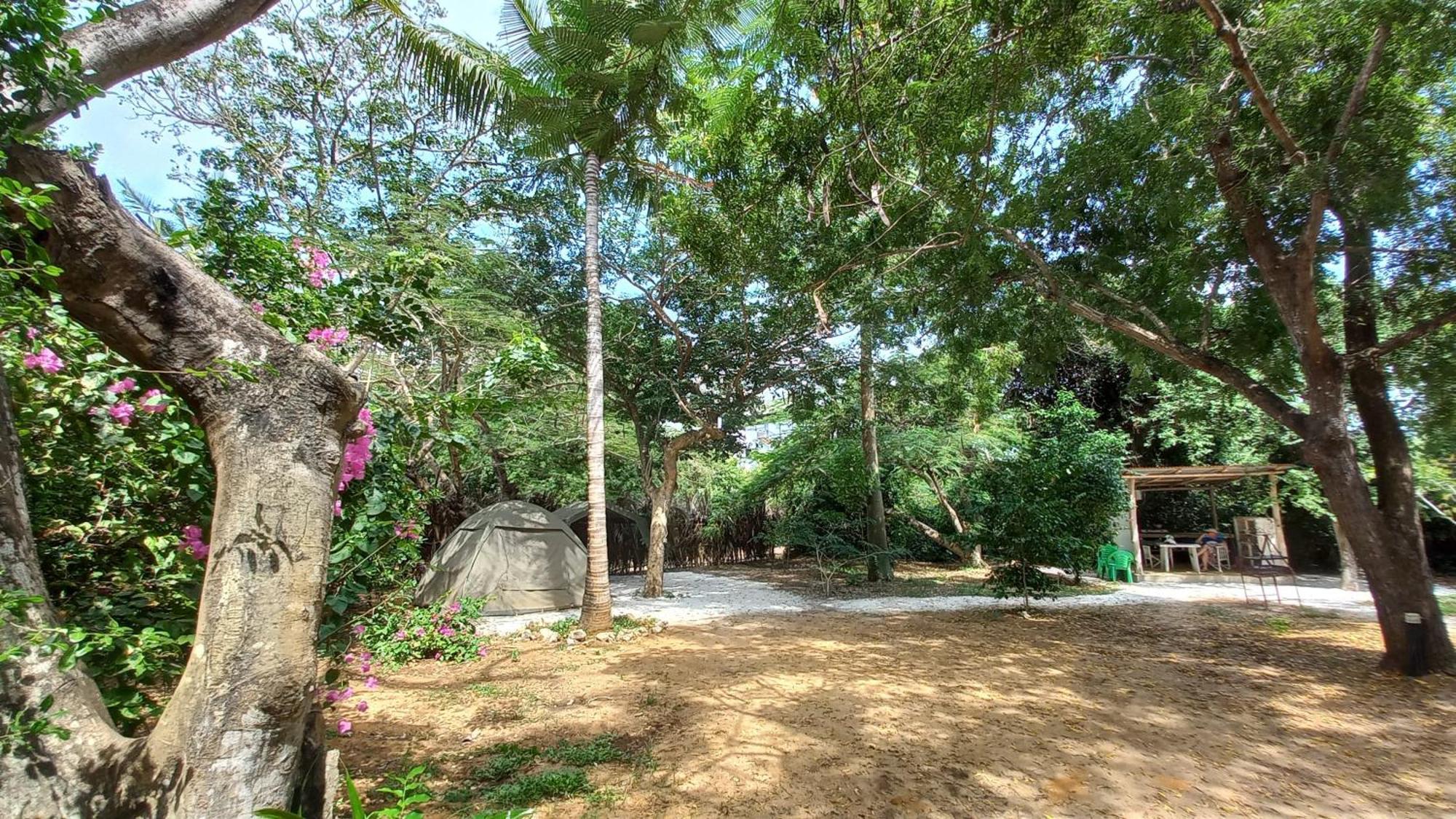 Bamba Kofi Campsite