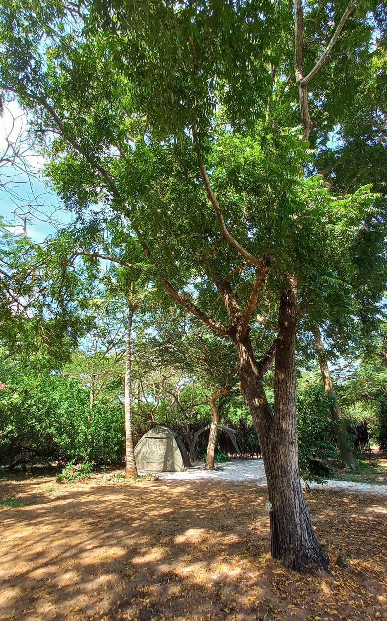 Bamba Kofi Campsite *