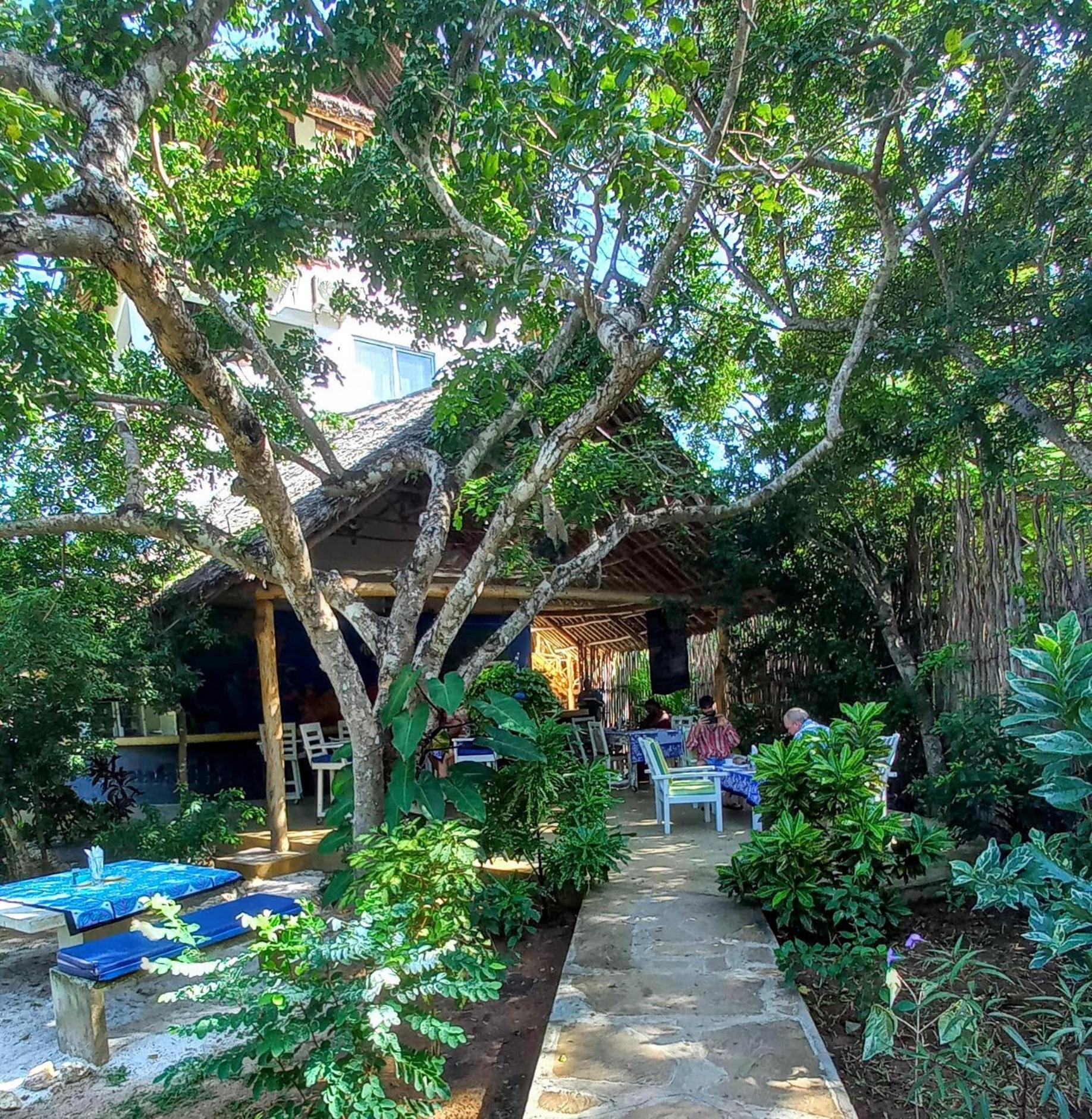 Campsite Bamba Kofi Watamu