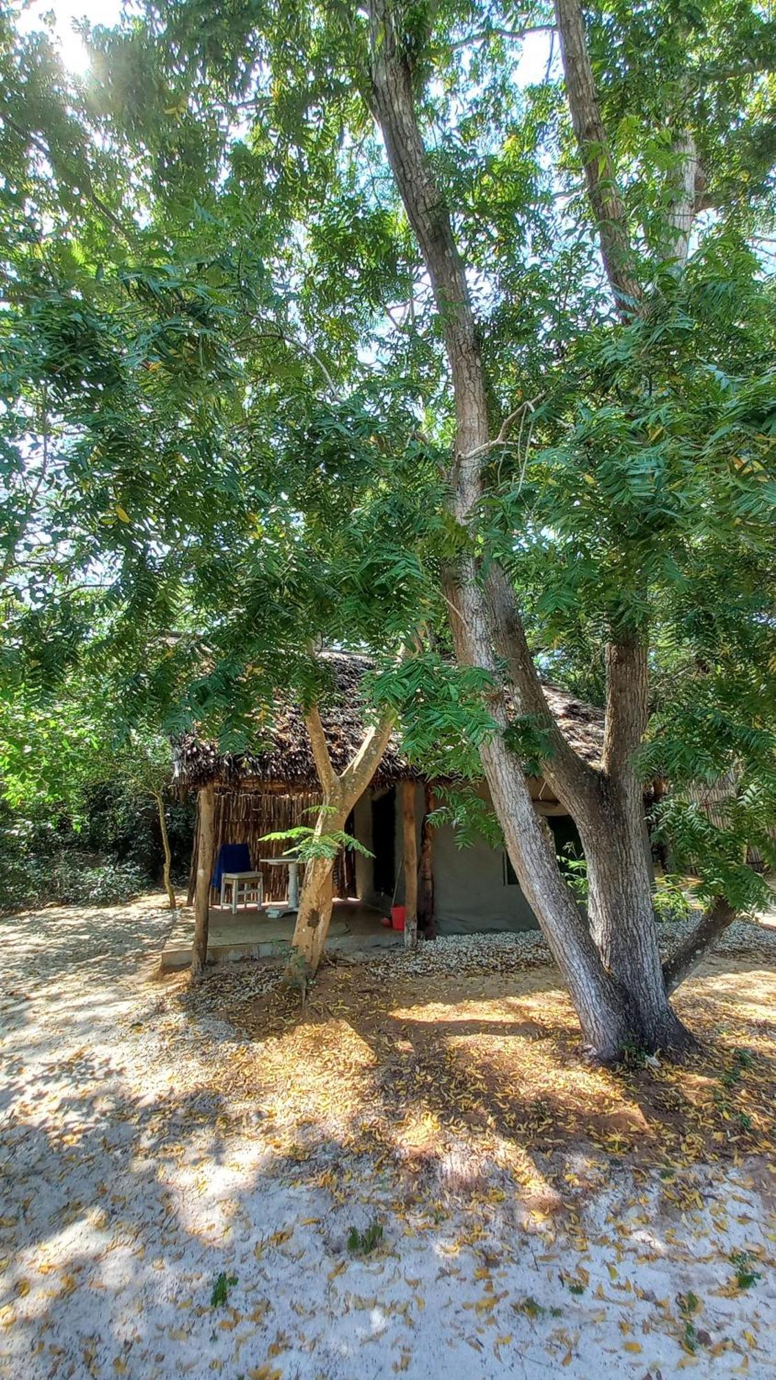 Bamba Kofi Watamu