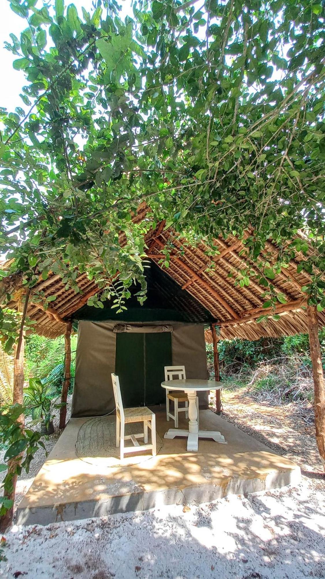 Bamba Kofi Campsite Watamu