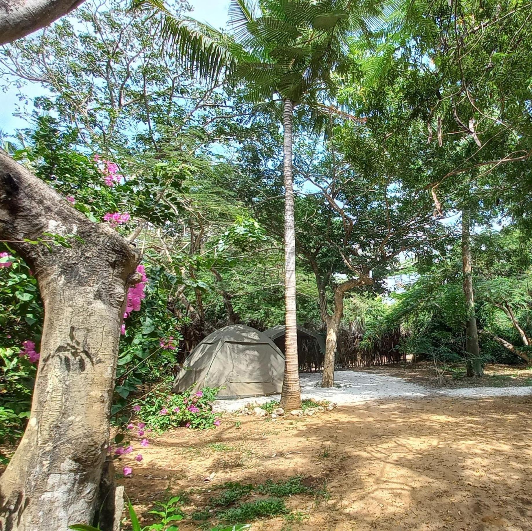Bamba Kofi * Watamu